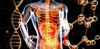 Cowellnex and Metagen Launch Joint Research Utilizing Independently Acquired High‑Precision Gut Microbiota Data